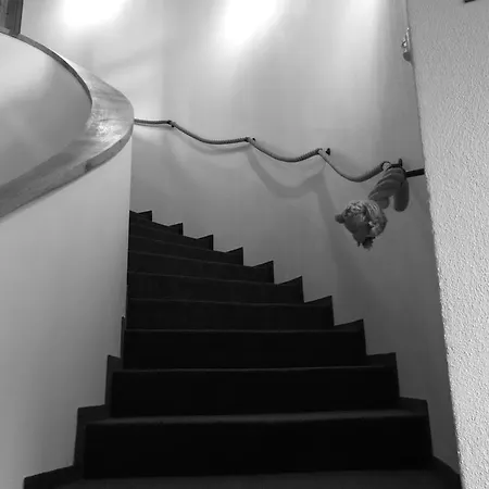 Vila Lednice * Lednice