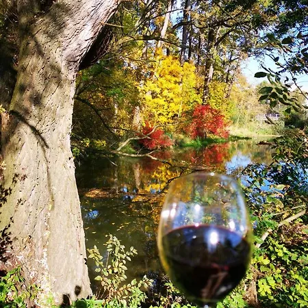 Vila Lednice Проживание в семье Леднице